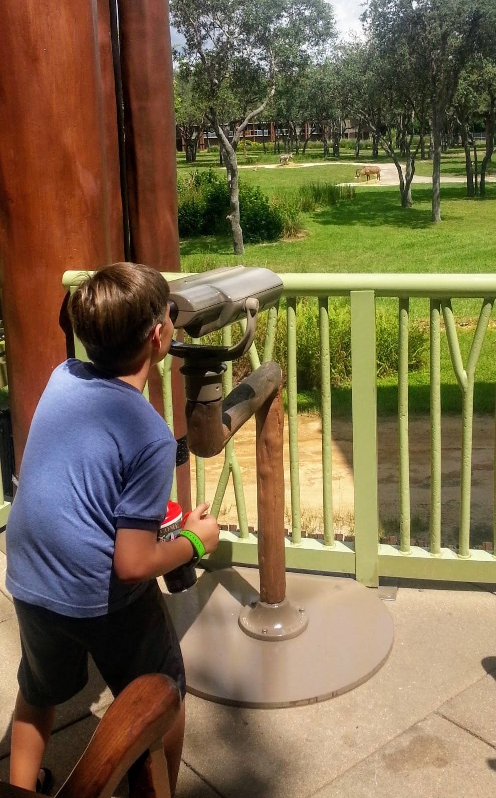 Animal Kingdom Lodge