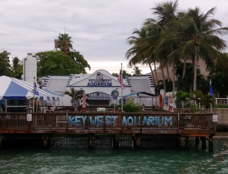 Visit the Key West Aquarium on a Key West weekend visit