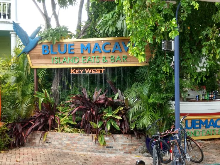 The Blue Macaw is one of the many great restaurants near the Best Western Hibiscus Motel. 