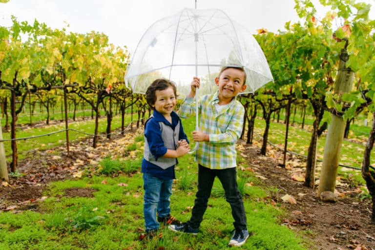 Family-Friendly California Wineries Welcome Kids to Wine Country