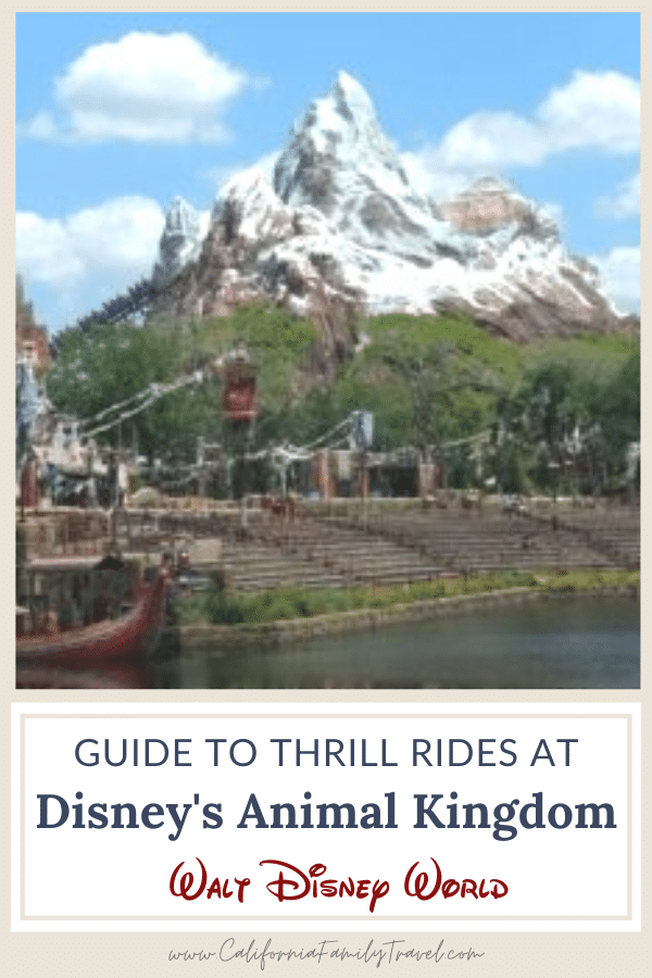 Disney's Animal Kingdom Park has some of the best thrill rides at Walt Disney World, with Expedition Everest, Dinosaur, Kali River Rapids, Pandora and others. Here is a guide to where to find the best rides at Animal Kingdom so you can maximize your fun at the park! #waltdisneyworld #animalkingdom