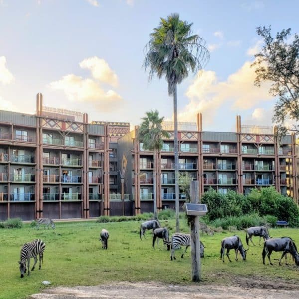 Disney Animal Kingdom Lodge