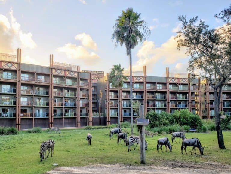 Disney Animal Kingdom Lodge