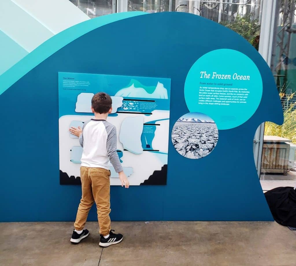 san francisco kids museums - california academy of sciences