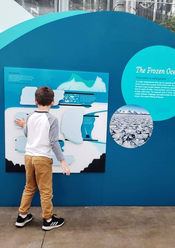 san francisco kids museums - california academy of sciences