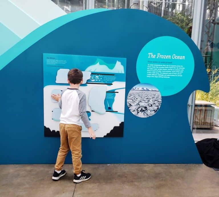 san francisco kids museums - california academy of sciences