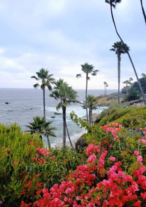 Best Things to Do in Laguna Beach with Kids