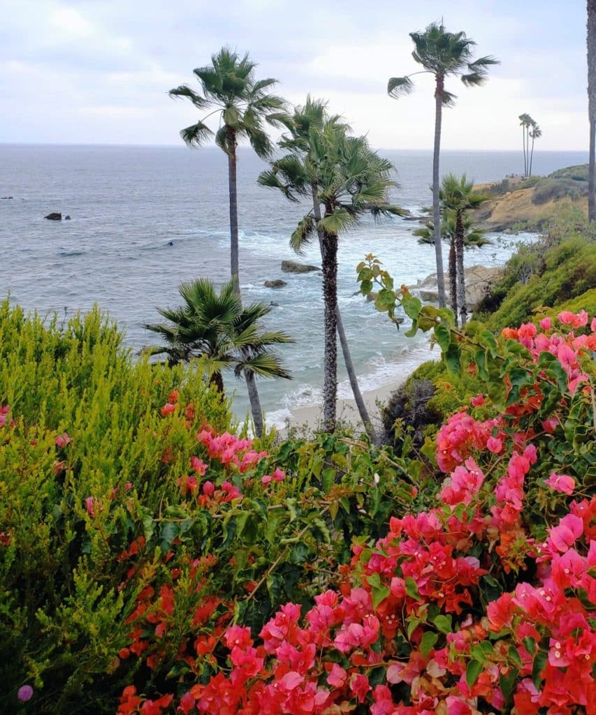 Laguna Beach California