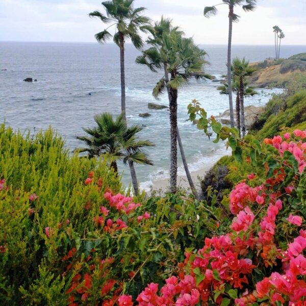 Laguna Beach California