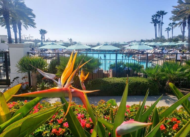 Waldorf Astoria Monarch Beach Hotel Pool