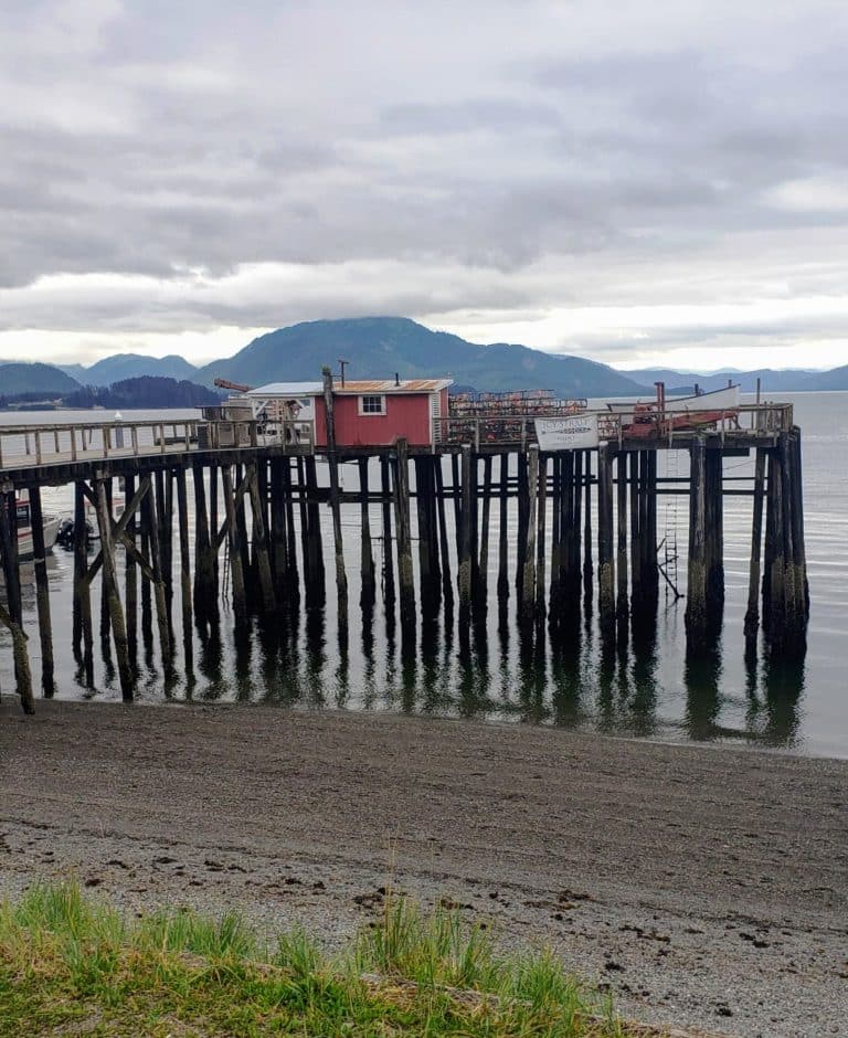 Icy Strait Point Alaska Cruise Port: An Honest Review (2026)