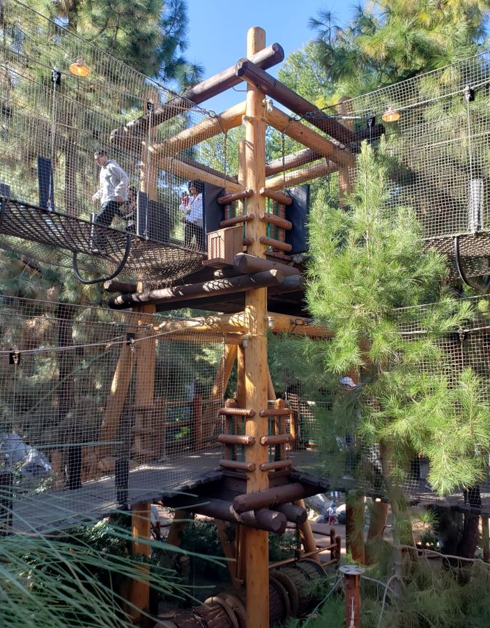 Redwood Creek Challenge Trail