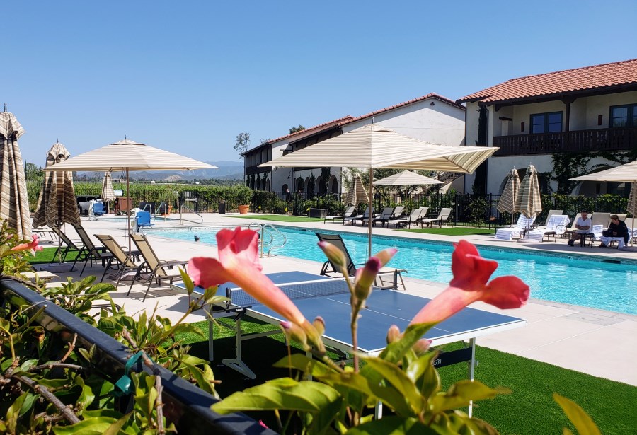 Ponte Vineyard Inn Pool