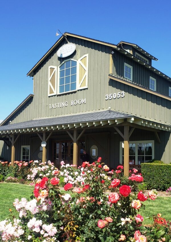 The tasting room at Ponte Vineyard Inn Temecula Winery Hotel
