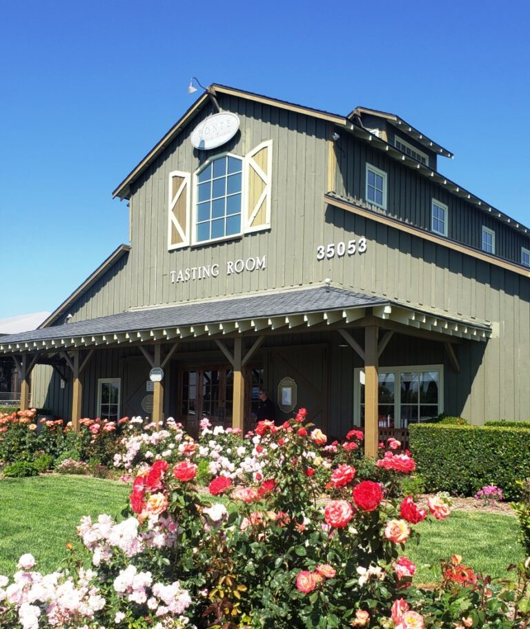 The tasting room at Ponte Vineyard Inn Temecula Winery Hotel