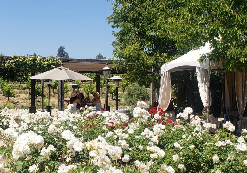 Temecula Winery Hotel Europa Village
