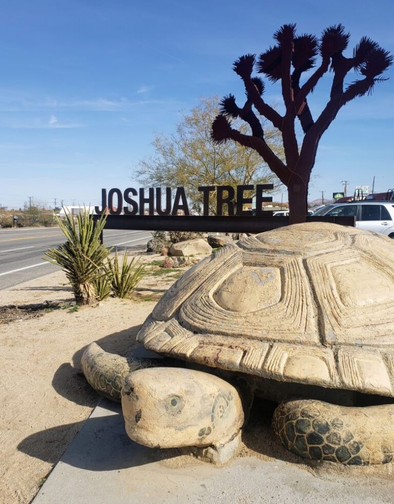 Joshua Tree California