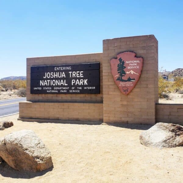 best entrance to Joshua Tree