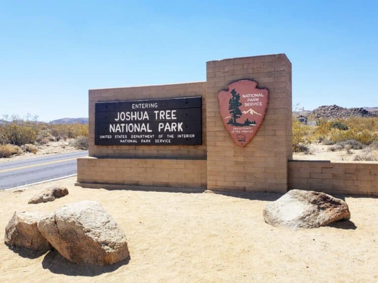 best entrance to Joshua Tree