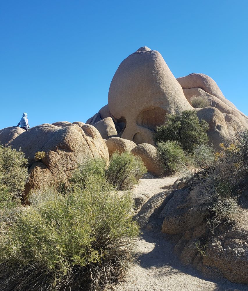 Skull Rock at Joshua Tree