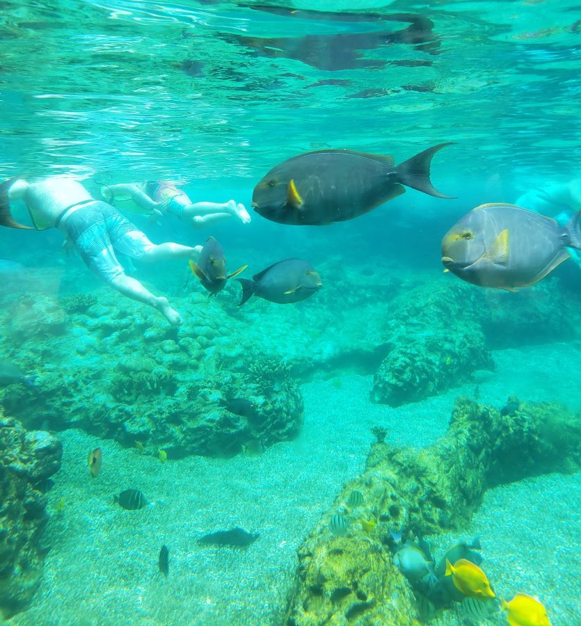 Rainbow Reef