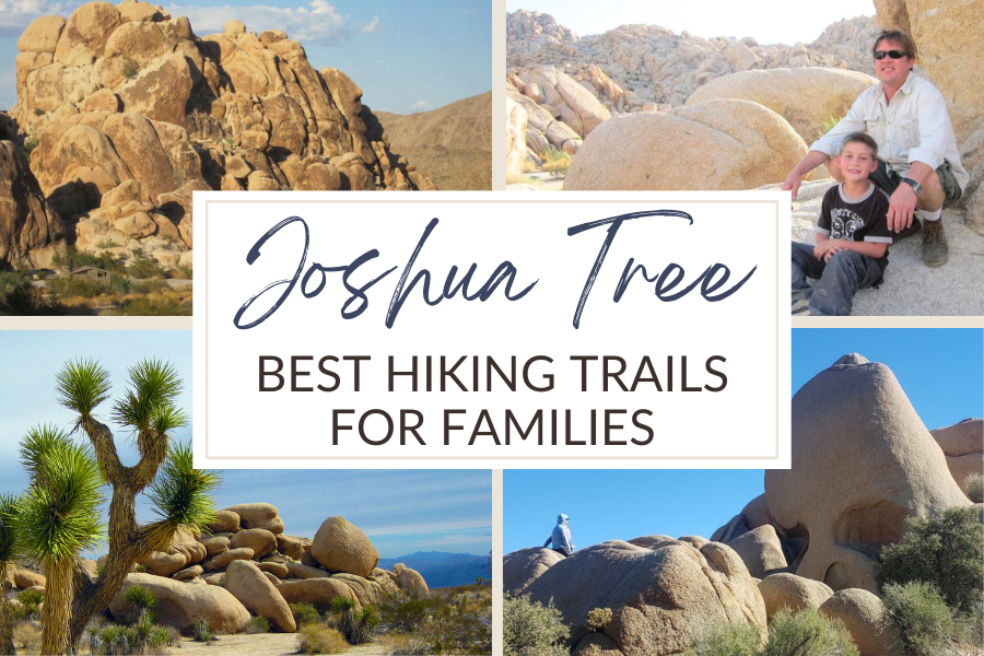 Joshua Tree National Park Family Hikes