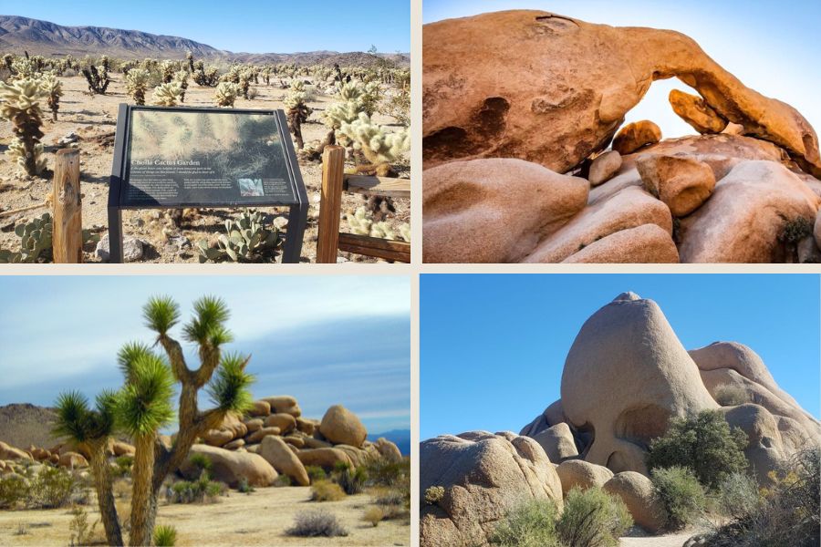 Joshua Tree National Park Hiking Trails