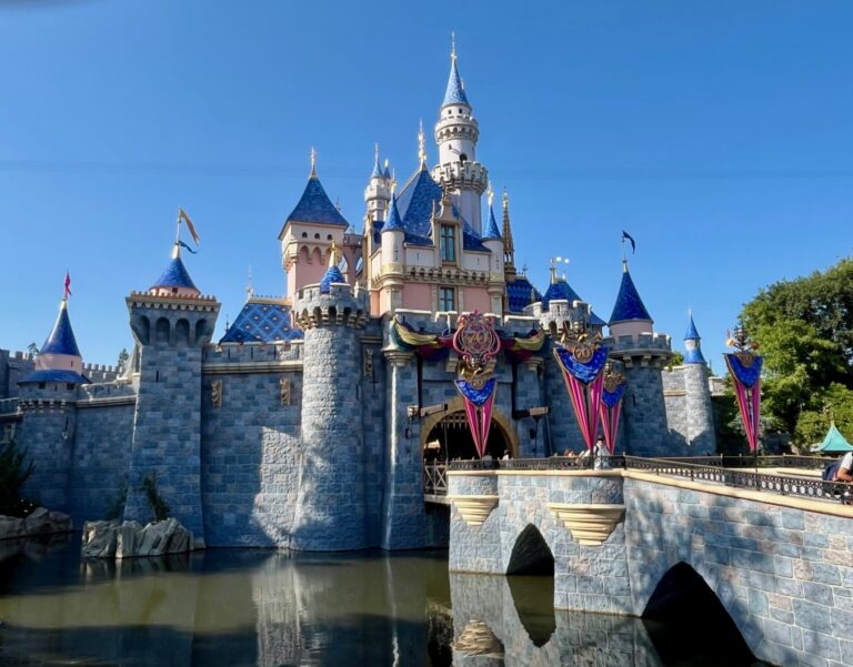 All The Things That Can Get You In Trouble At Disneyland