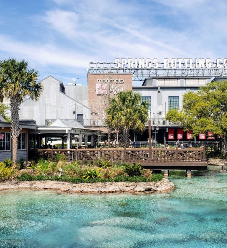 10 Best Quick Service Disney Springs Restaurants