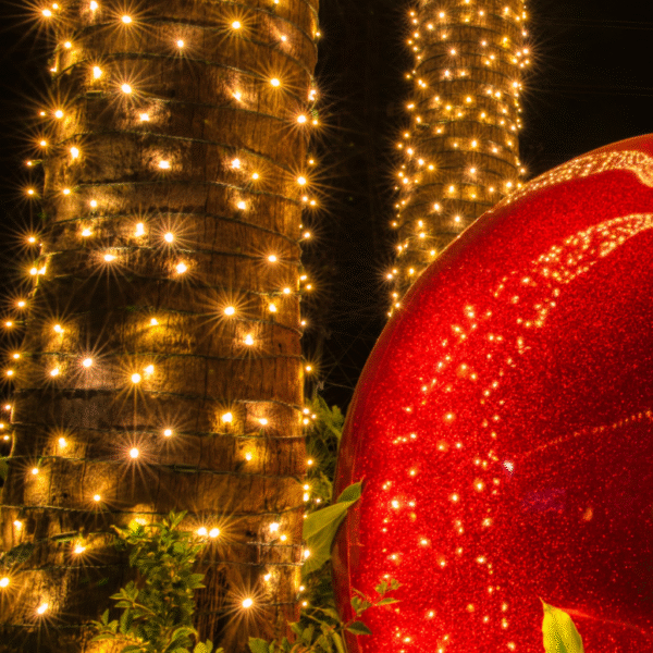 Christmas Lights in Las Vegas Nevada