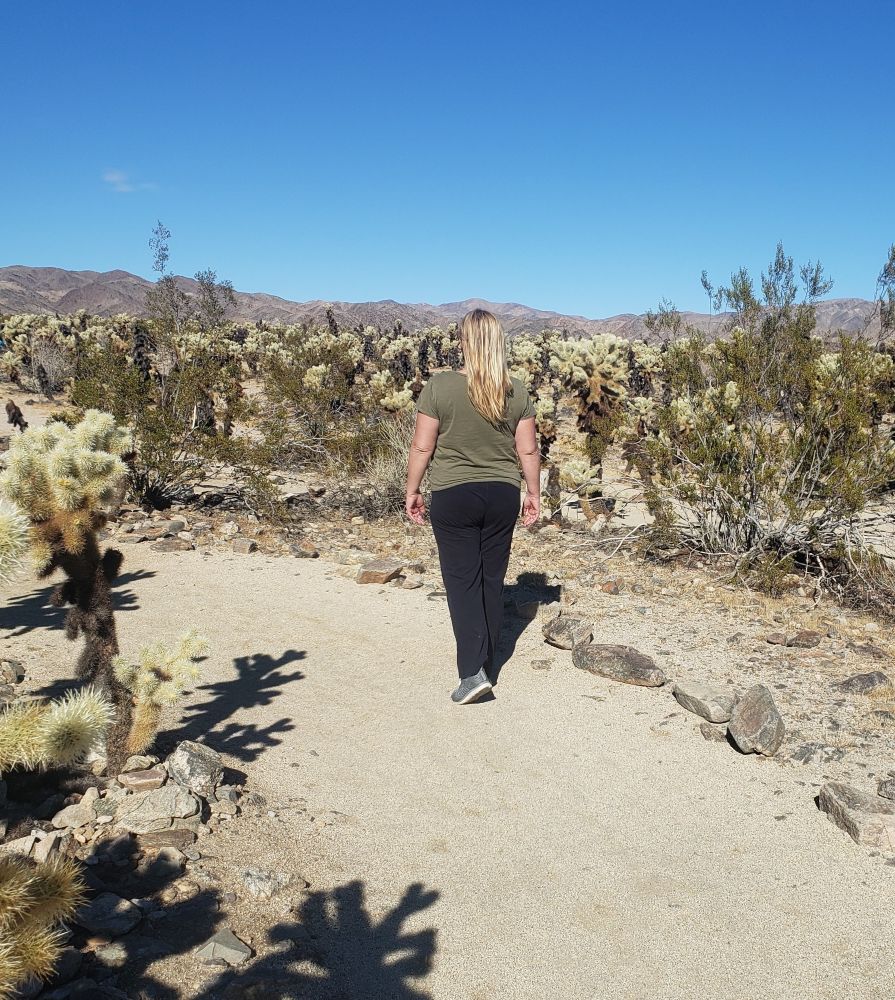 Joshua Tree National Park Cholla Cactus Garden Nature Trail 