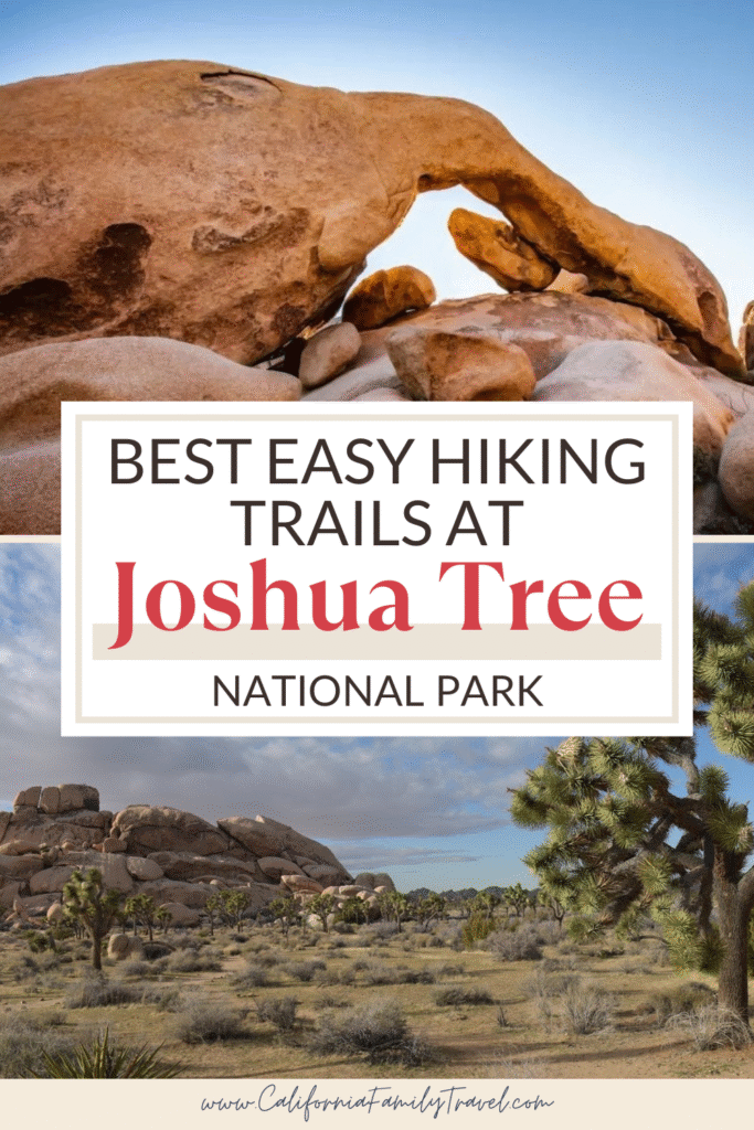 Planning a visit to Joshua Tree National Park? Here's a guide to easy and scenic hiking trails that the whole family can enjoy, plus tips to help make the most of your time inside Joshua Tree California.