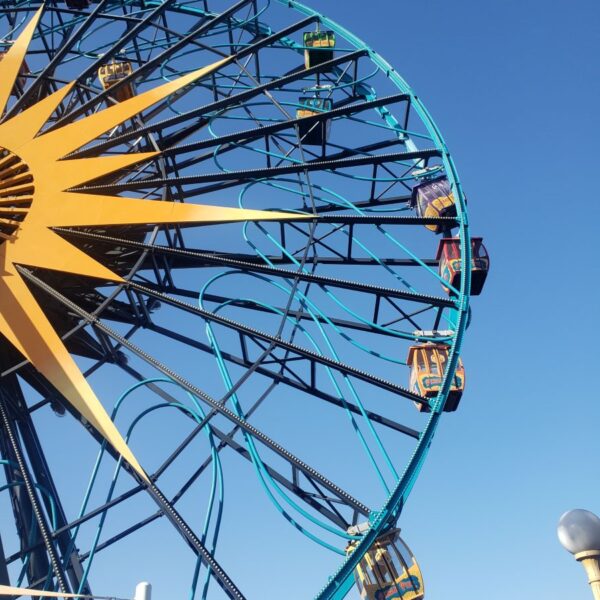 Disney California Adventure ride