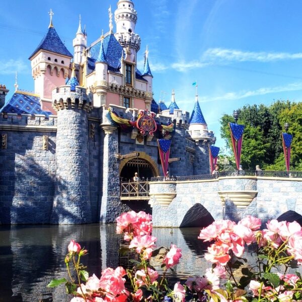 Disneyland Summer Sleeping Beauty Castle