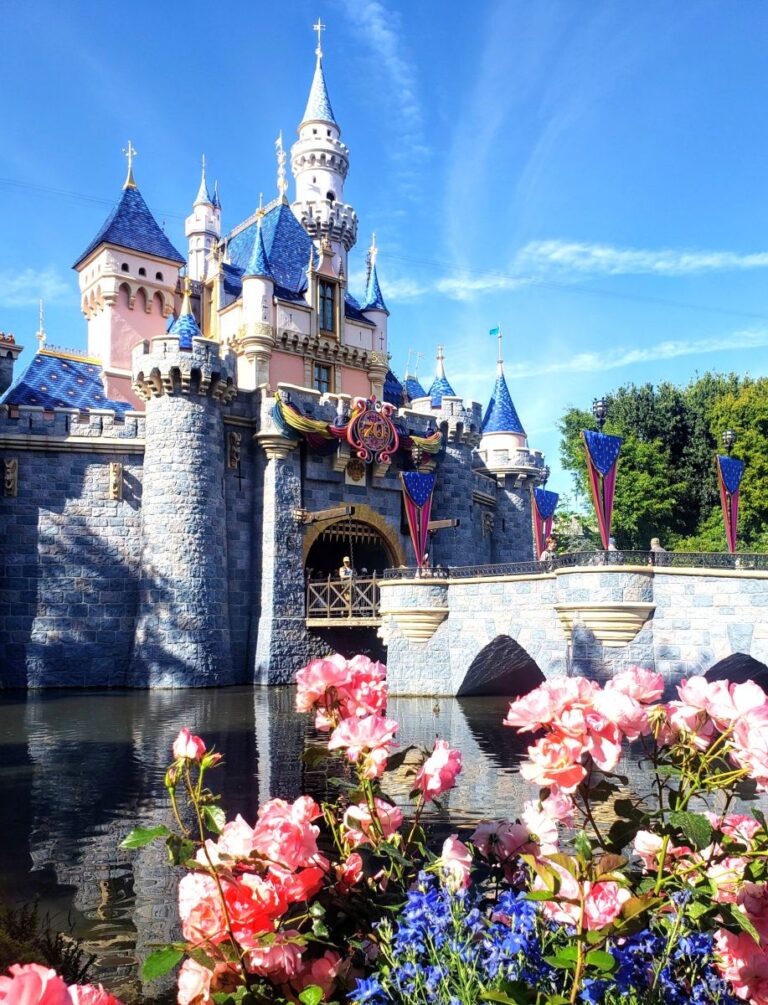 Disneyland Summer Sleeping Beauty Castle