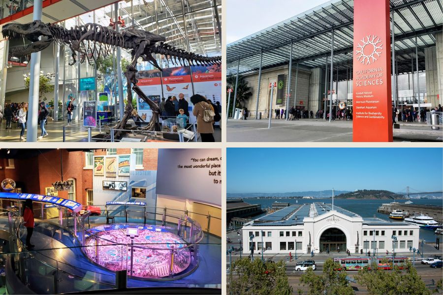 San Francisco Museums for Families