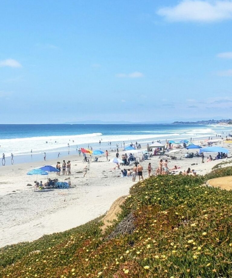 Best Things to Do in San Diego with Kids (2026 Guide)