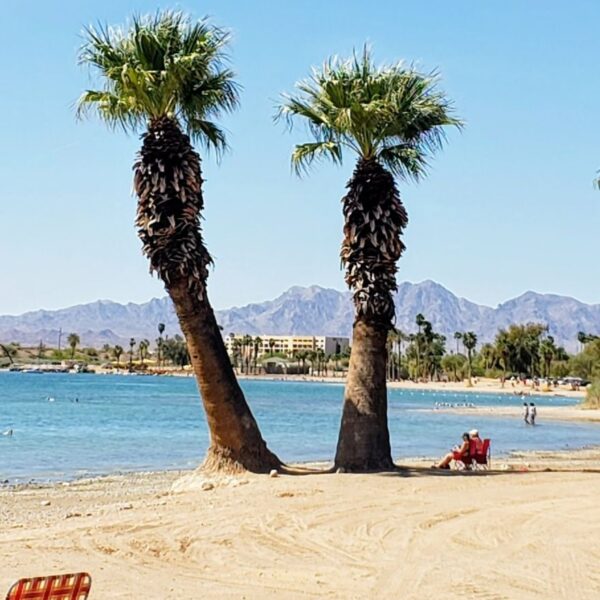 Things to Do in Lake Havasu With Kids: A Family Guide to Arizona’s Playground