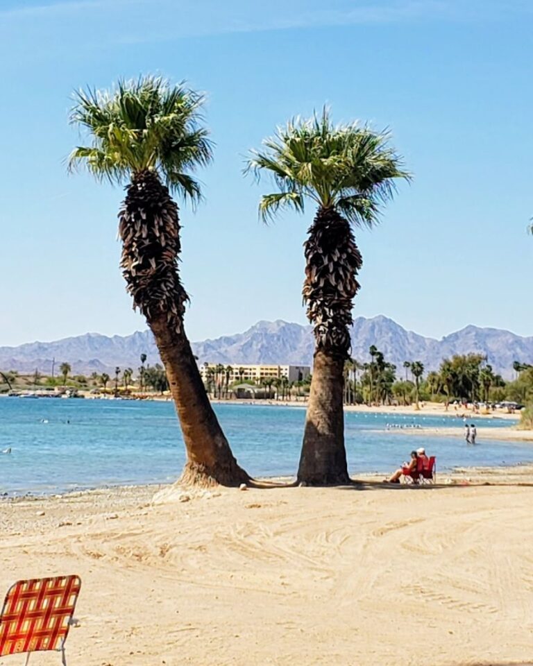 Things to Do in Lake Havasu With Kids: A Family Guide to Arizona’s Playground