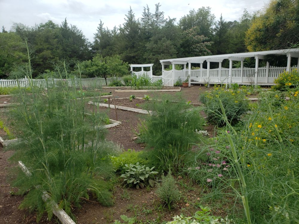 Ferry Farm Garden