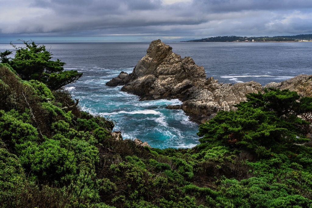 Christmas in Monterey: Best Holiday Events & Festive Things to Do