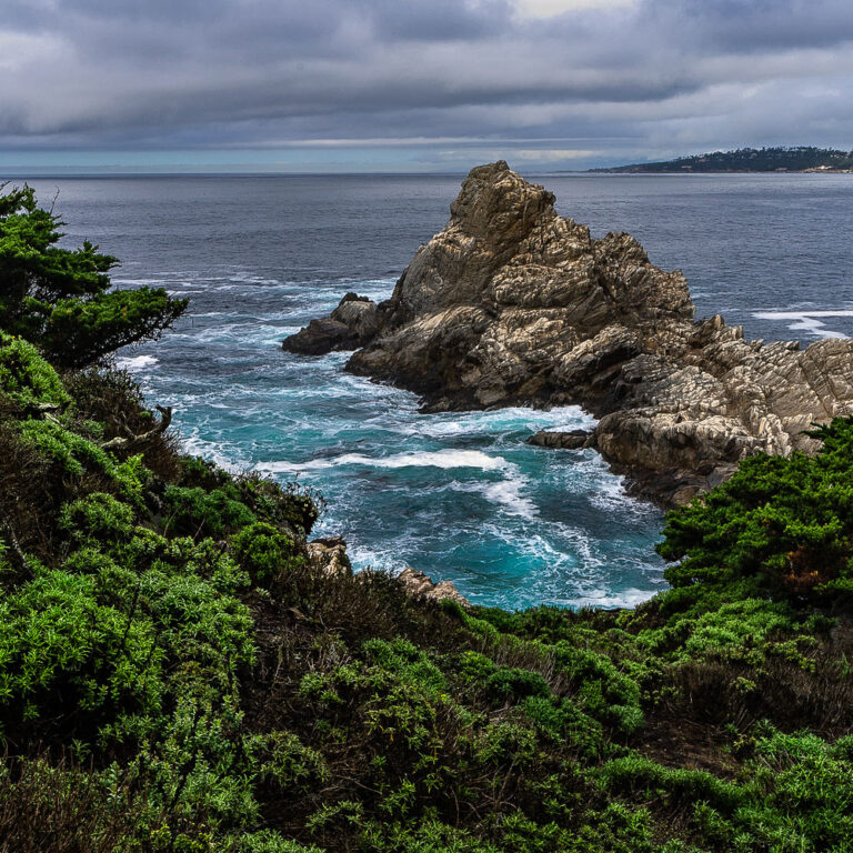 Christmas in Monterey: Best Holiday Events & Festive Things to Do